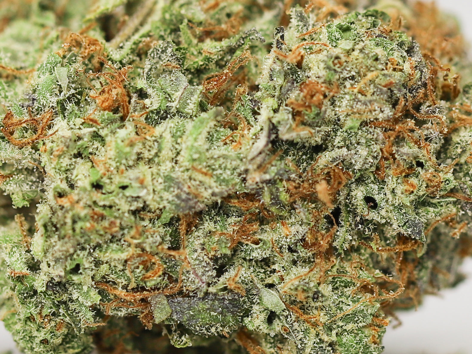 HHC Flower - Green Goblin - Asheville Dispensary